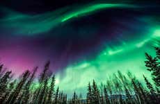 Fairbanks Aurora Viewing Lodge Experience