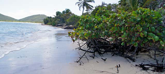 Escursione sull'isola di Culebra in catamarano