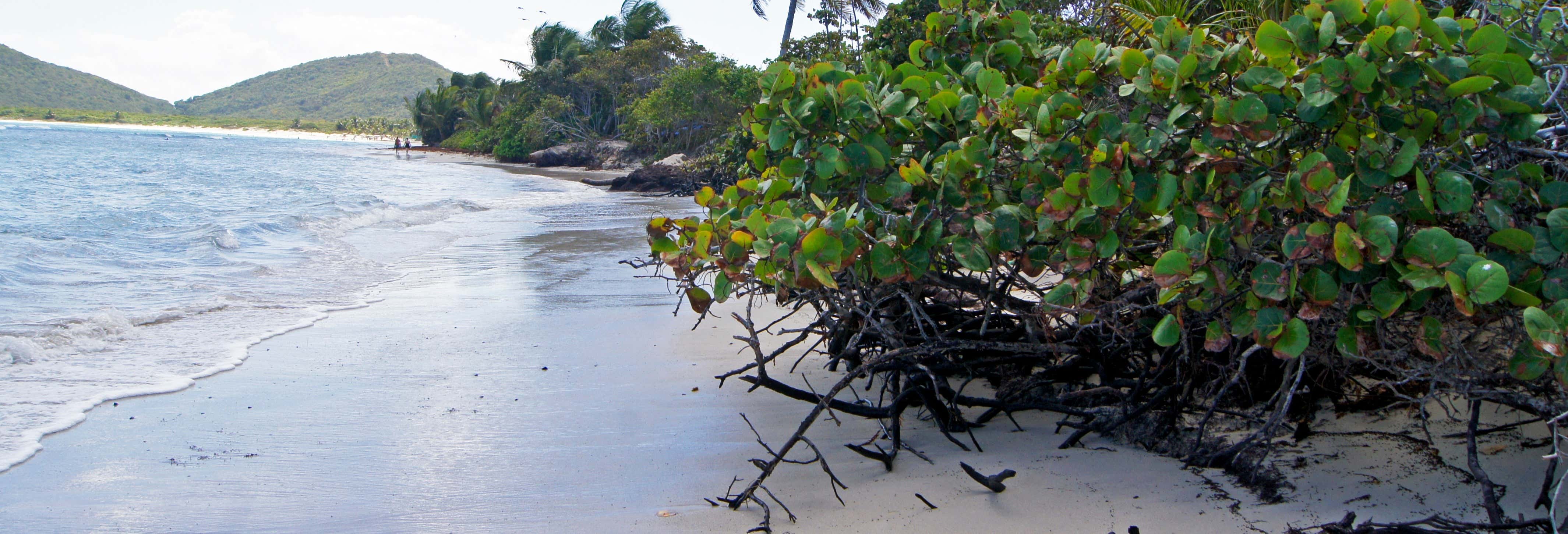 Culebra Island Catamaran Cruise