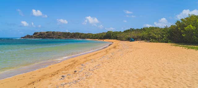 Escursione a Playa Escondida