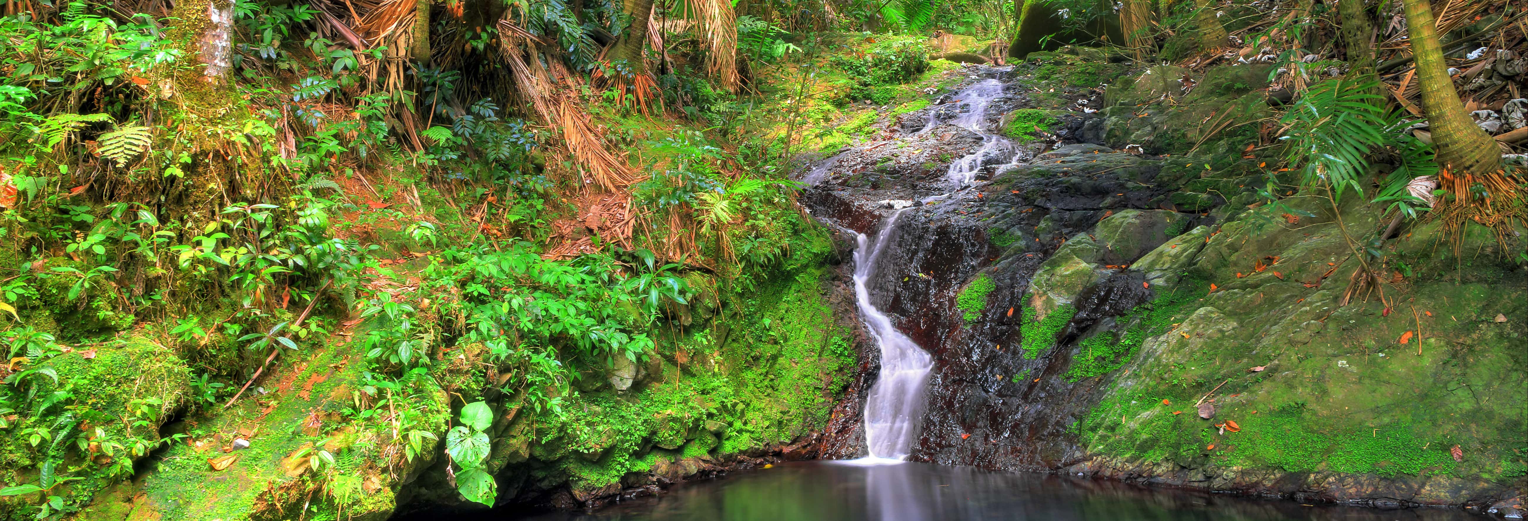 Day Trip to Las Tinajas + El Yunque National Forest