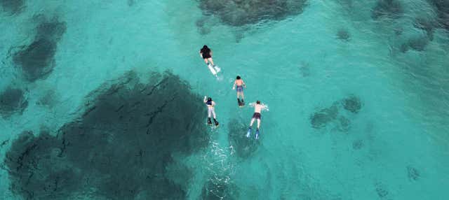 Snorkeling a Fajardo