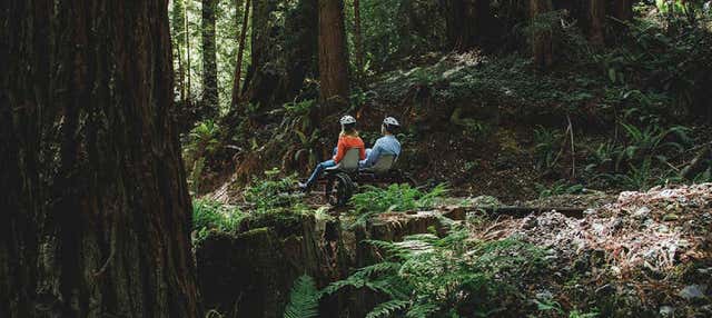 Giro privato in rail bike a Fort Bragg