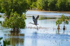 Everglades Day Trip