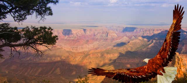 Biglietti per il Grand Canyon West