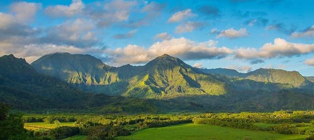 Escursione a Kauai in aereo