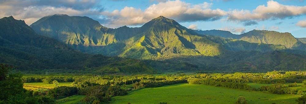 Escursione a Kauai in aereo