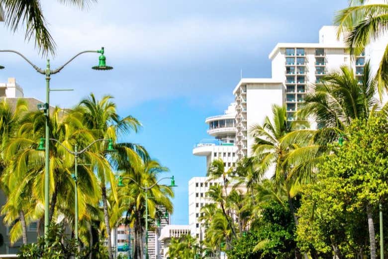 Waikiki Walking Tour