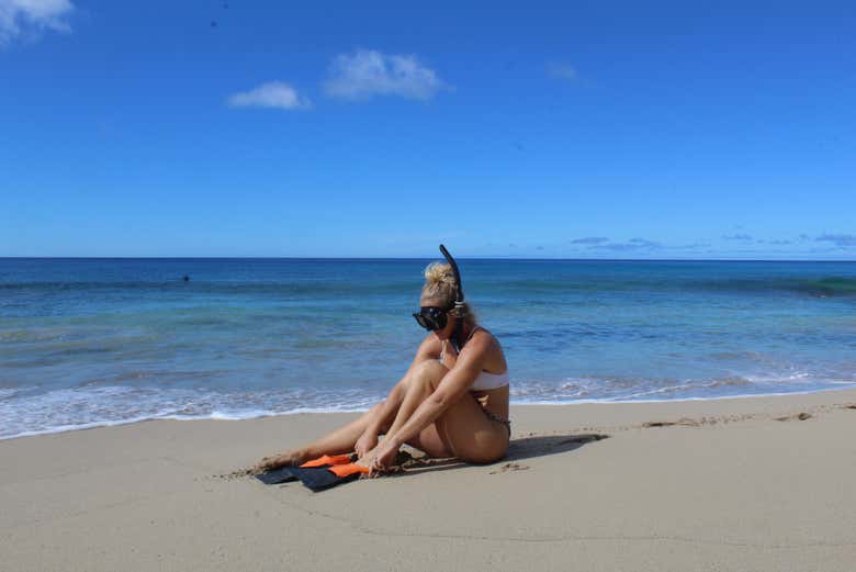 Snorkeling or Diving in Honolulu
