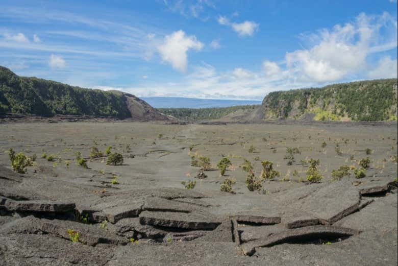 Hawaii Volcanoes National Park Tour from Honolulu by Airplane