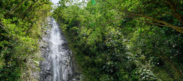 Escursione alla cascata di Manoa