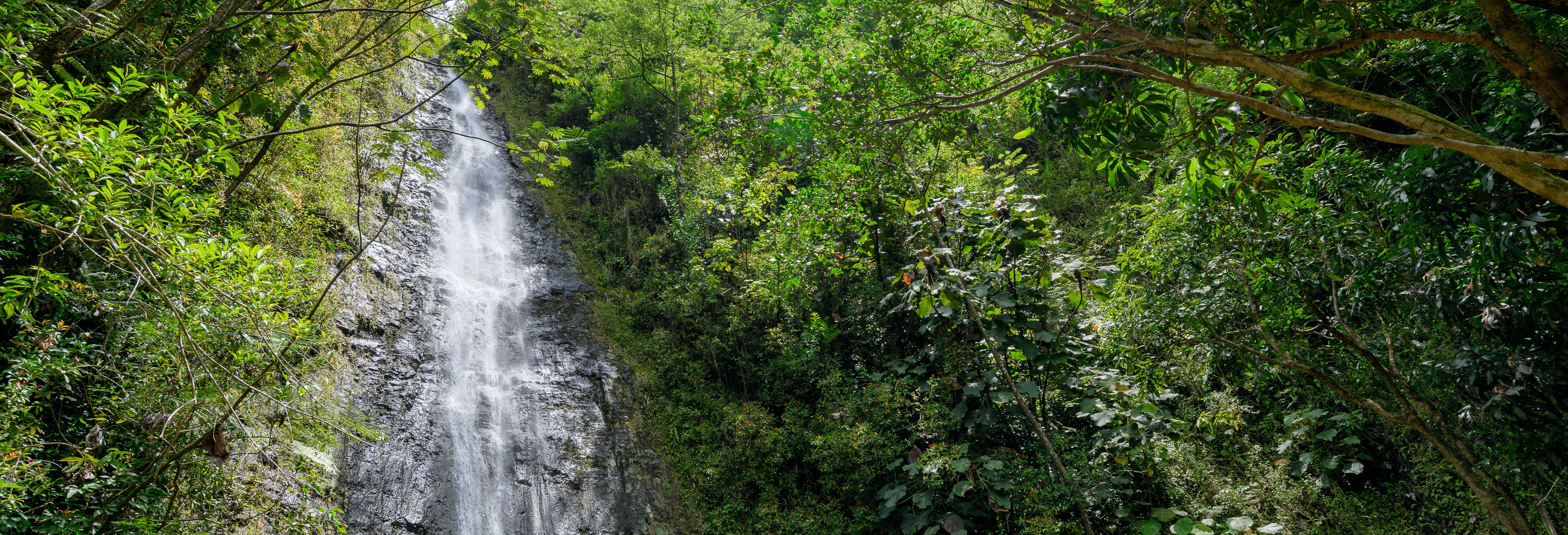 Escursione alla cascata di Manoa