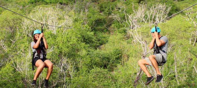 Zip line al Coral Crater Adventure Park