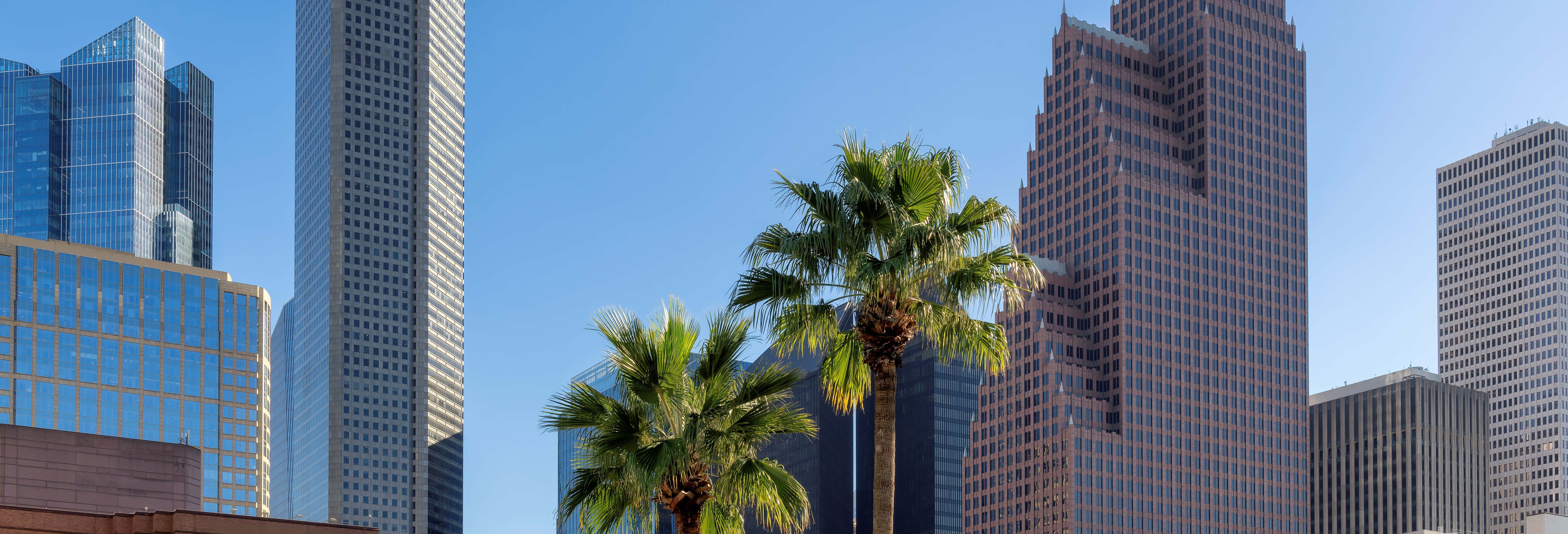 Free tour di Houston