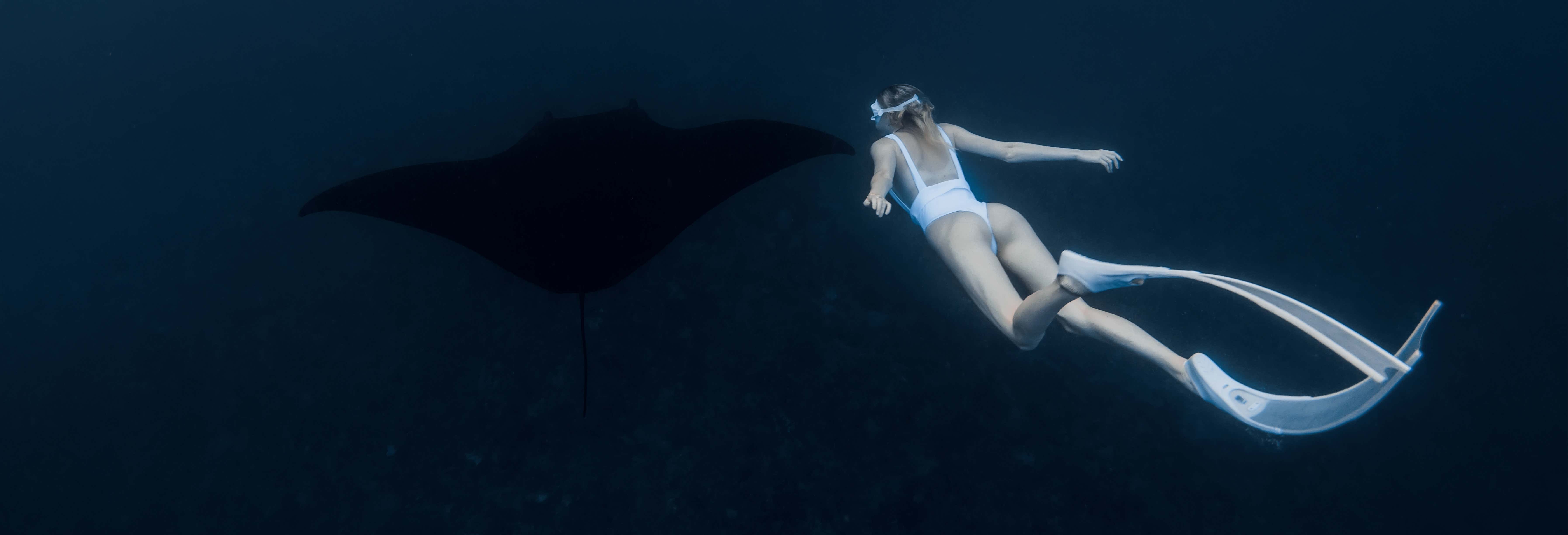 Bagno notturno con le mante giganti