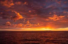 Crucero al atardecer con cena por la bahía de Kealakekua