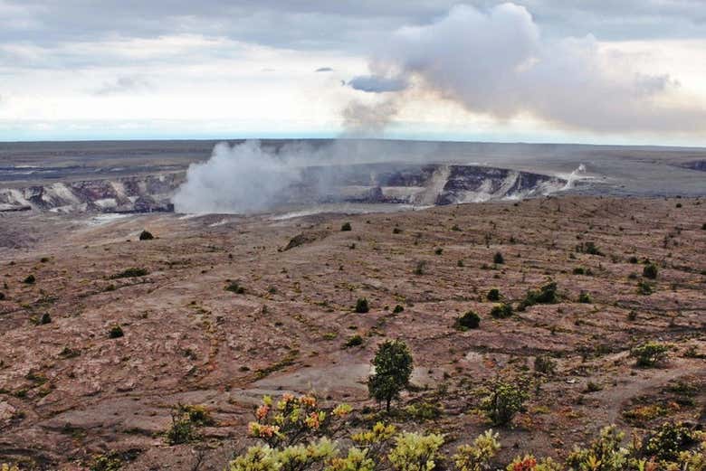 Hawai'i Volcanoes National Park Tour from Hilo, Hawaii Island