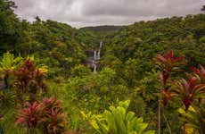 Umauma River Kayaking & Swimming