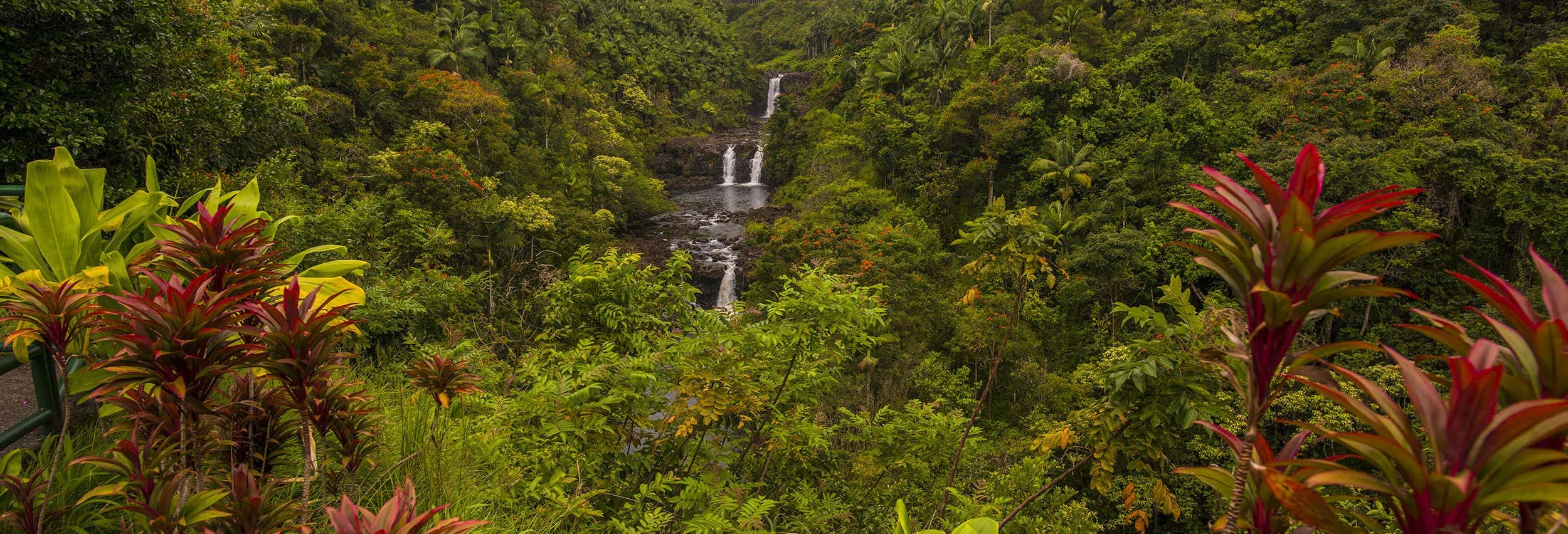 Kayak e paddle surf nel fiume Umauma