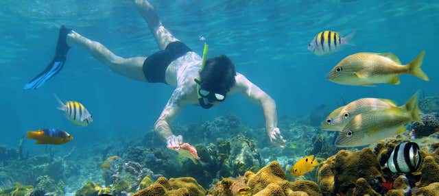 Snorkeling alle Hawaii