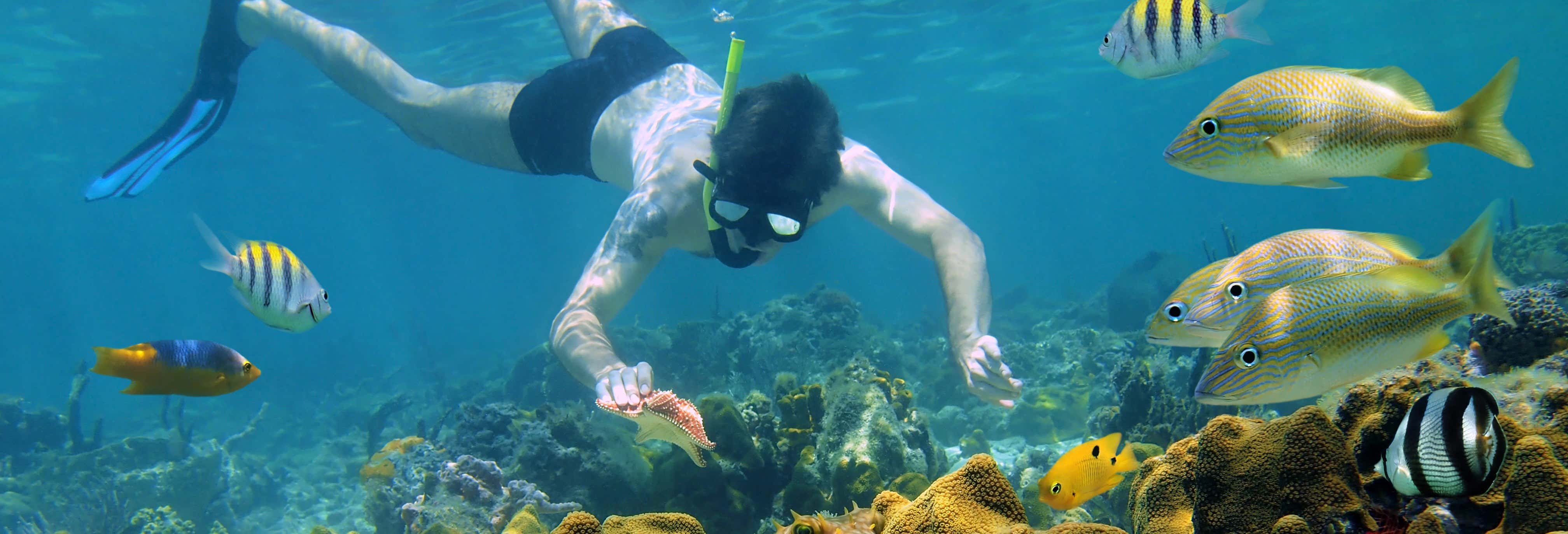Snorkeling alle Hawaii