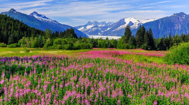 Juneau