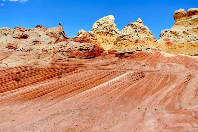 white pocket tour from kanab