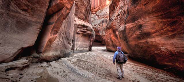 Trekking a Buckskin Gulch