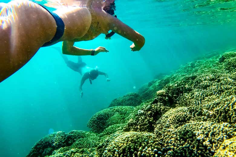 Kaneohe Kayak Rental Book Online at