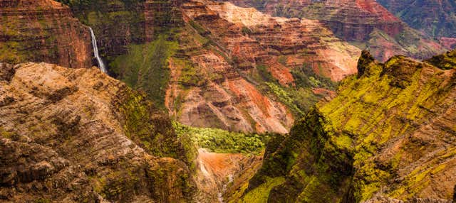 Escursione al Canyon del Waimea e al Parco Statale Kōkeʻe
