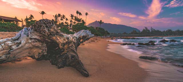 Tour dei set cinematografici a Kauai