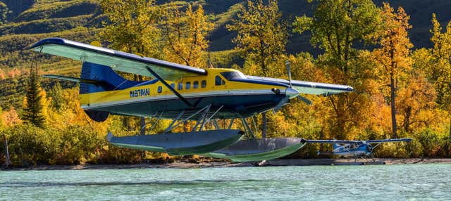 Escursione in aeroplano a Lake Clark + Avvistamento di orsi 