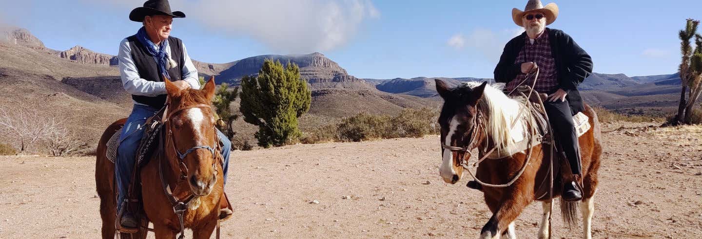 Joshua Tree Horseback Riding Tour