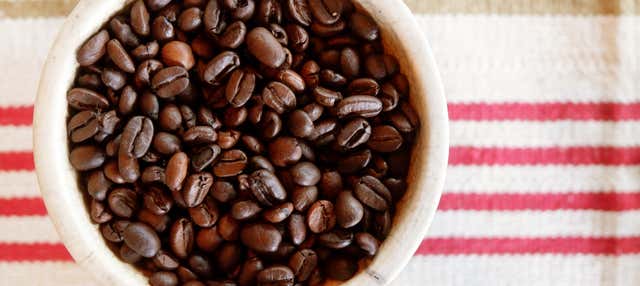 Escursione al Museo del Caffè di Ciales