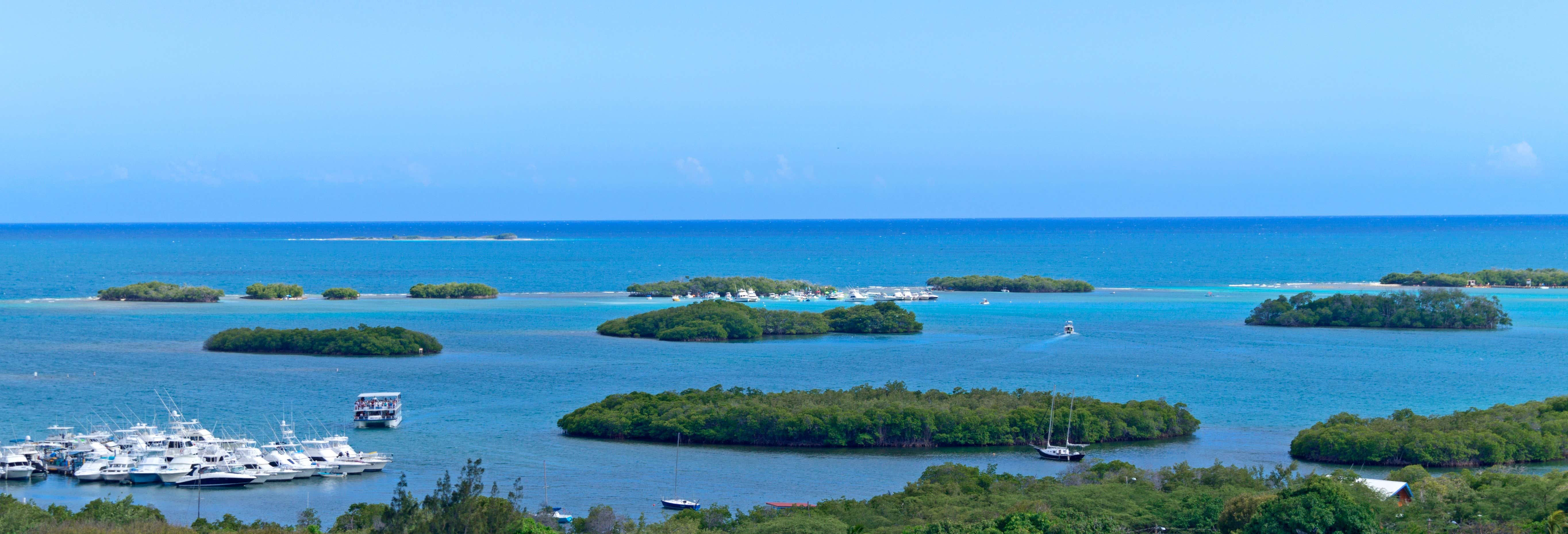 La Parguera Bioluminescent Bay Private Cruise