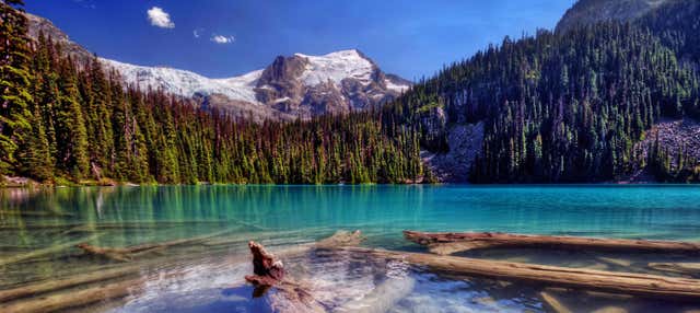 Tour di 4, 7 o 11 giorni da Las Vegas a San Francisco