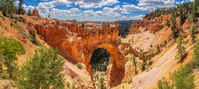 Escursione ai canyon di Zion e Bryce