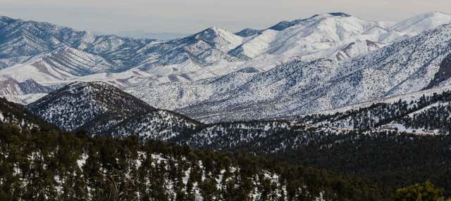 Escursione al monte Charleston
