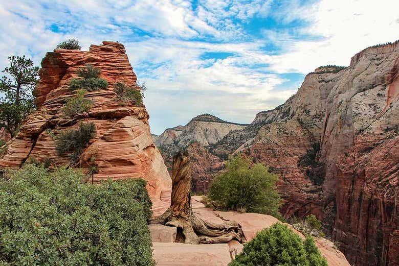 Excursión a los cañones Zion y Bryce