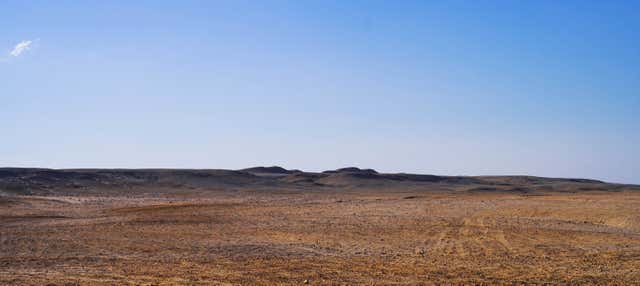 Tour nel deserto di Las Vegas in quad