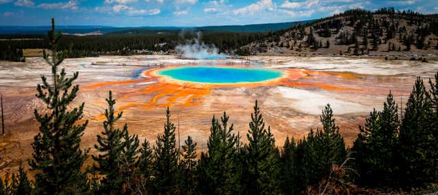 Tour di 7 giorni a Yellowstone, le Montagne Rocciose, Bryce Canyon e Grand Teton