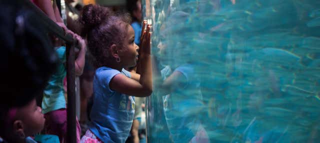 Biglietti per Aquarium of The Pacific