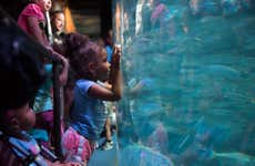 Aquarium of The Pacific Tickets