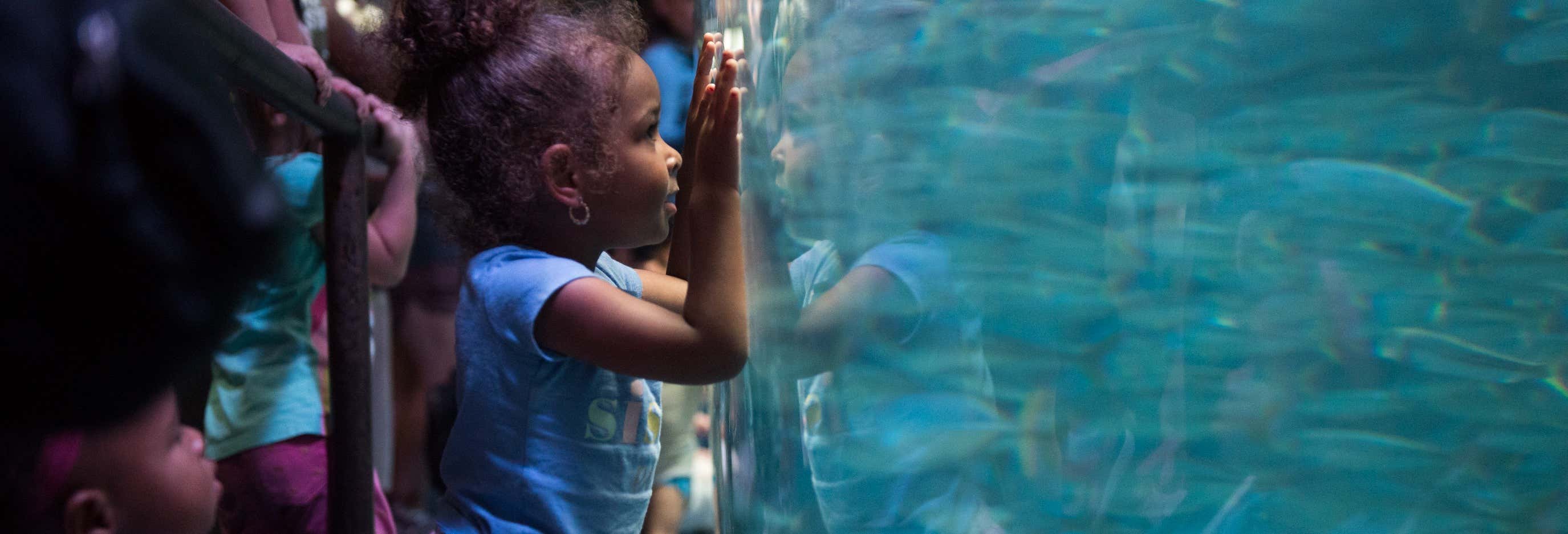 Biglietti per Aquarium of The Pacific