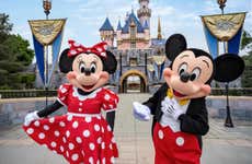 Disneyland® Park or Disney California Adventure® Park Official Tickets