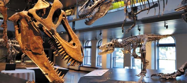 Biglietti per il Museo di Storia Naturale di Los Angeles