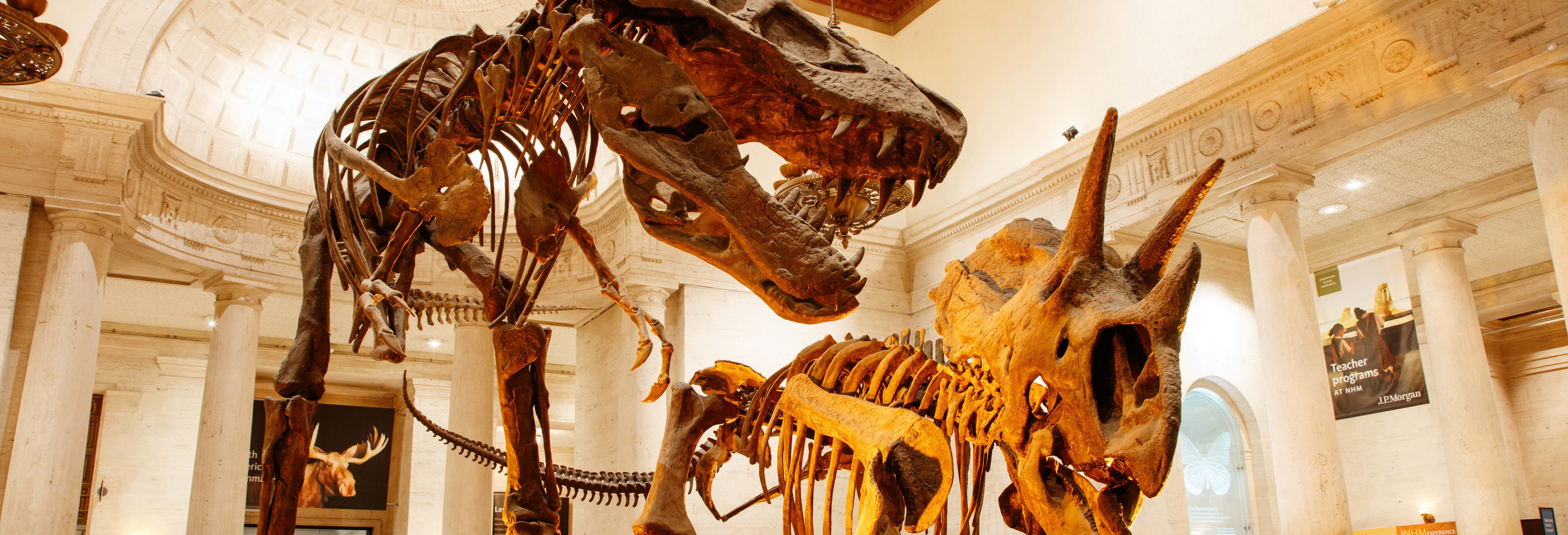 Los Angeles CityPASS®