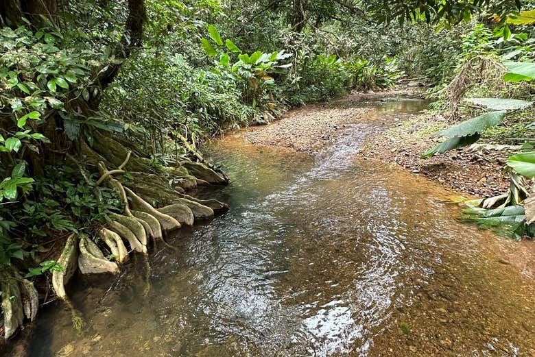 Imagen 8