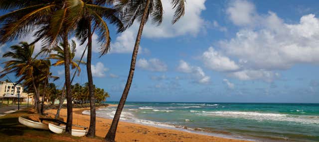Tour della foresta El Yunque + Spiagge di Luquillo