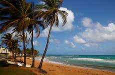 El Yunque Rainforest & Luquillo Beaches Tour